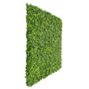 Mixed Boxwood Artificial Vertical Garden Green Wall Panel 40×40in 11 SQ FT – UV Resistant – Commercial Grade