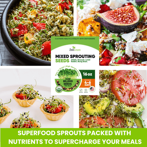 Mixed Sprouting Seeds Organic