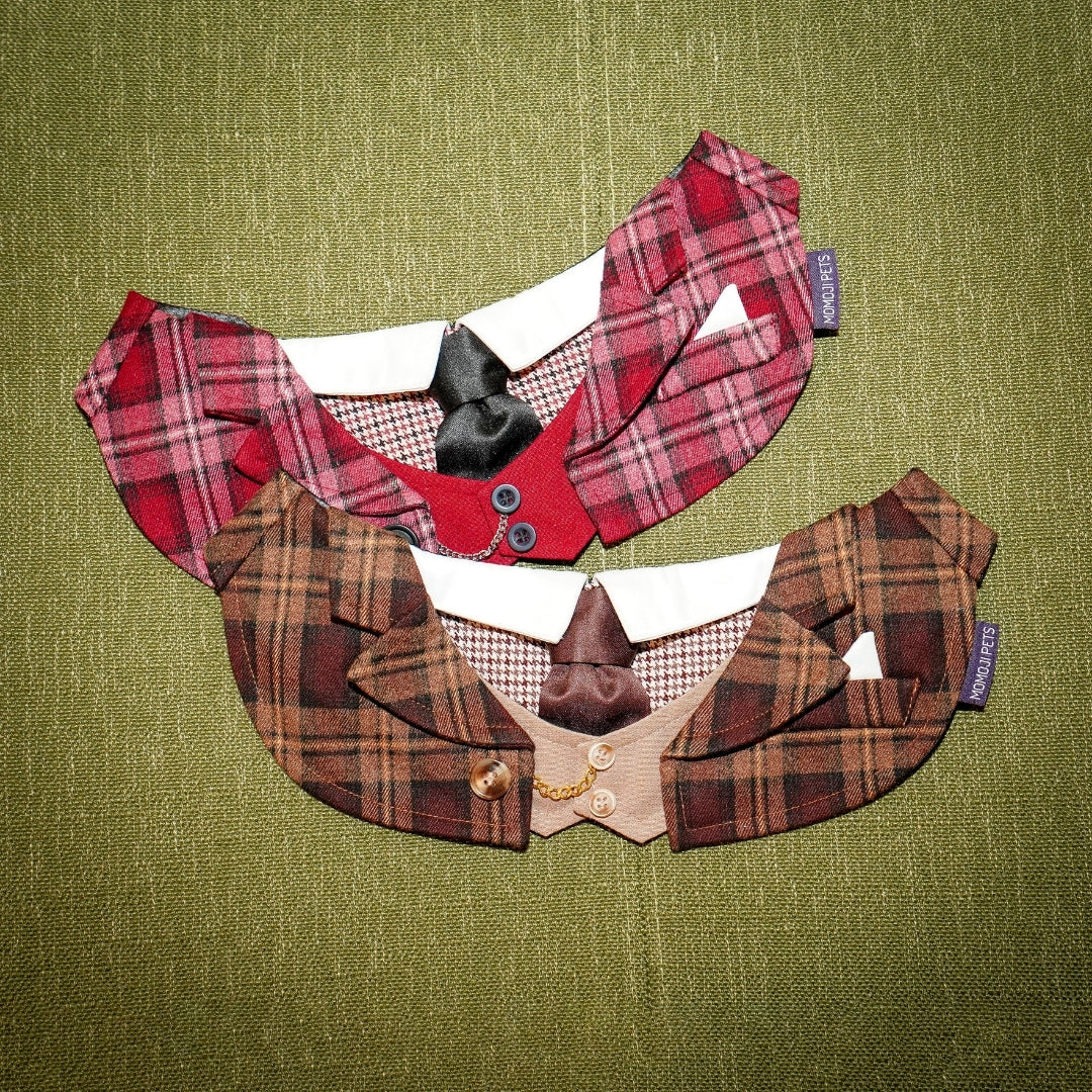 Phillip | Pet Bib Momoji Canada
