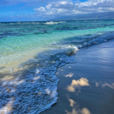 Tahitian Vanilla