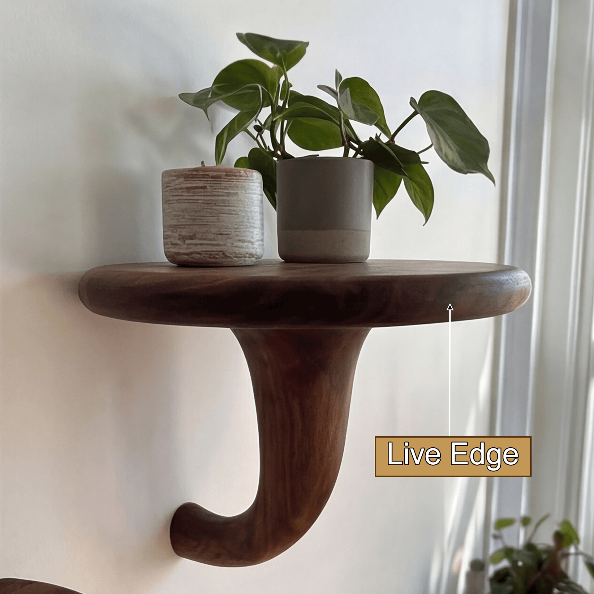 Morvyn Mushroom Solid Wood Floating Shelf SPA548239