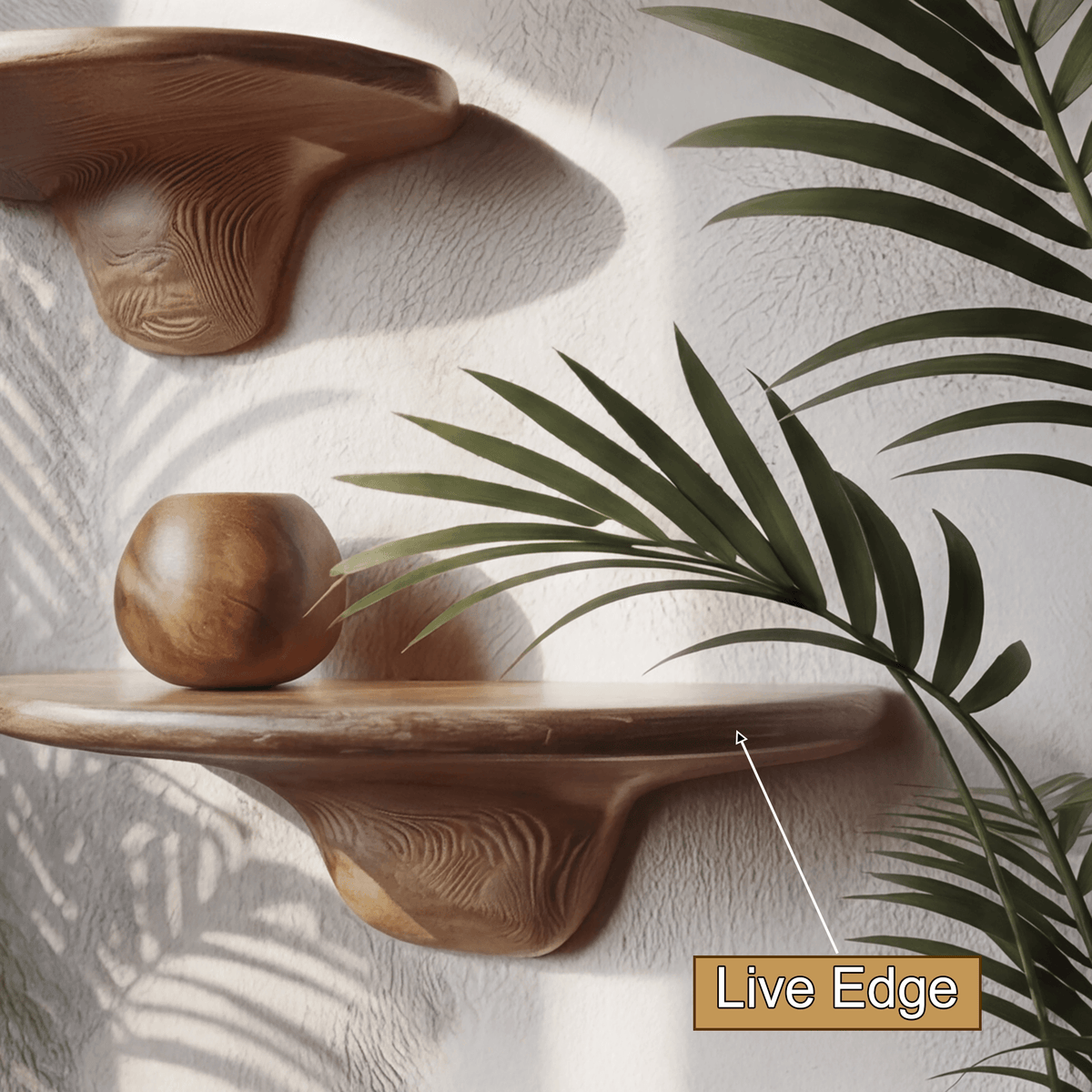 Mycora Solid Wood Mushroom Floating Shelf