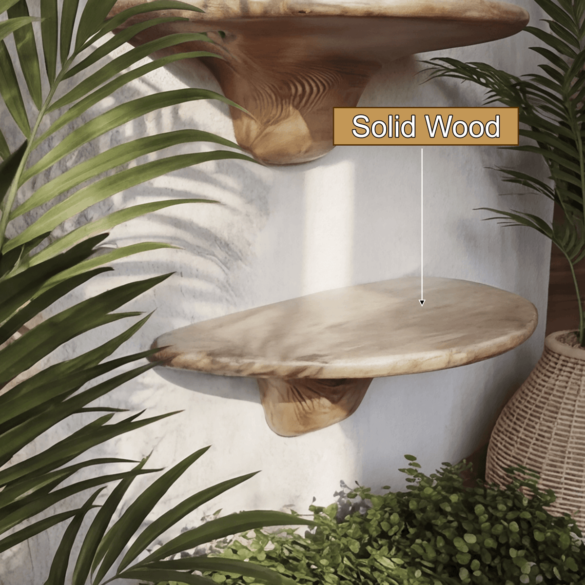 Mycora Solid Wood Mushroom Floating Shelf