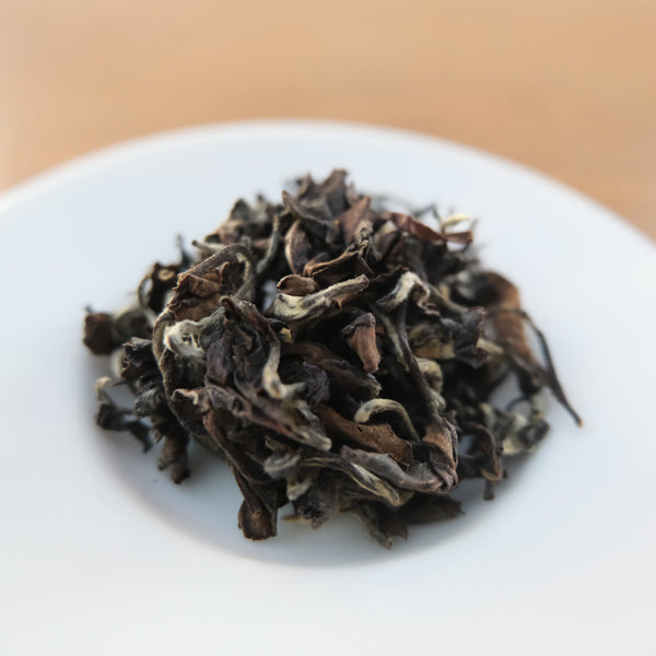 BUG-BITTEN OOLONG - MYSELF SURRENDERED