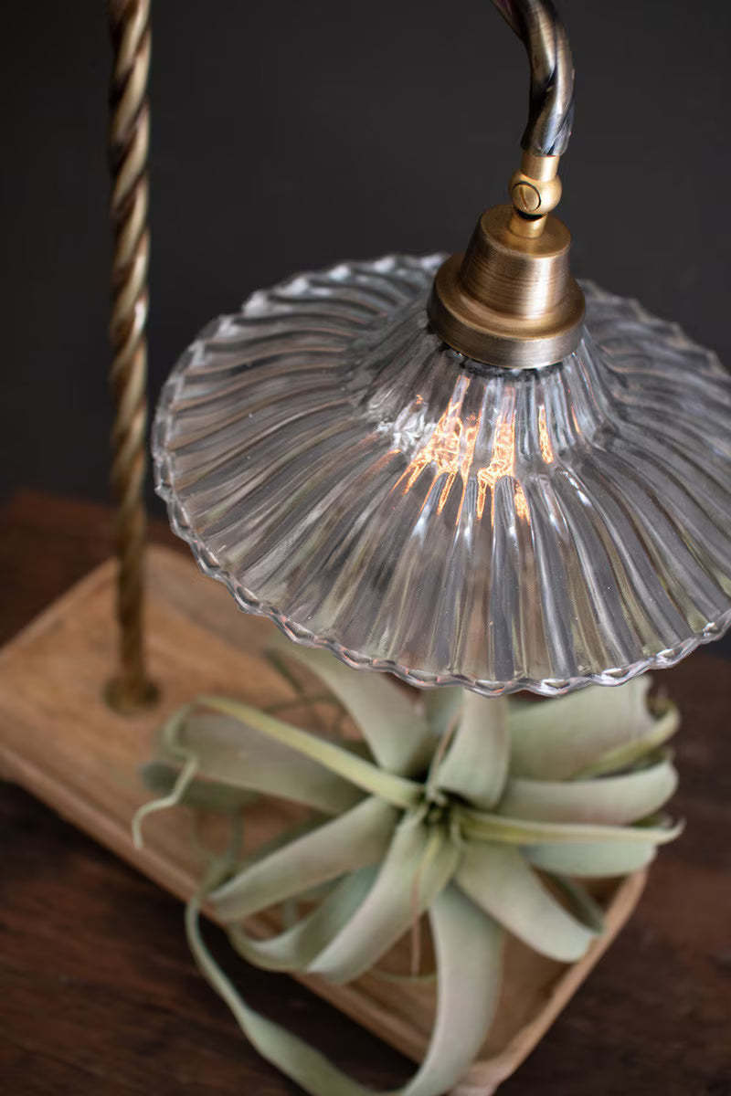 TABLE LAMP WITH WOODEN TRAY BASE AND GLASS SHADE