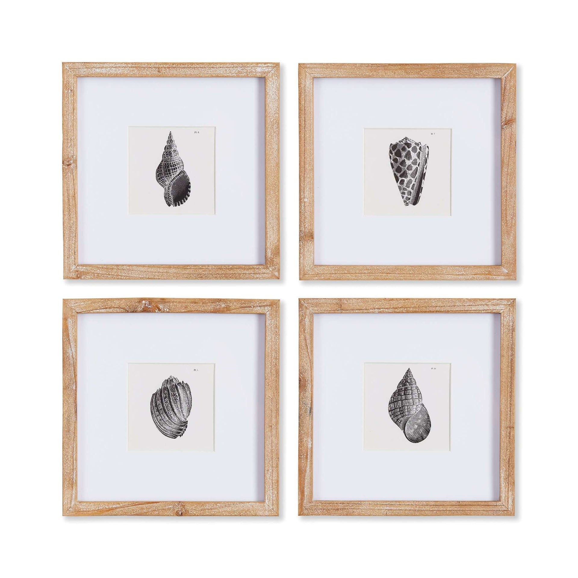 Vintage Coastal Seashell Wall Art Set (Set of 4)