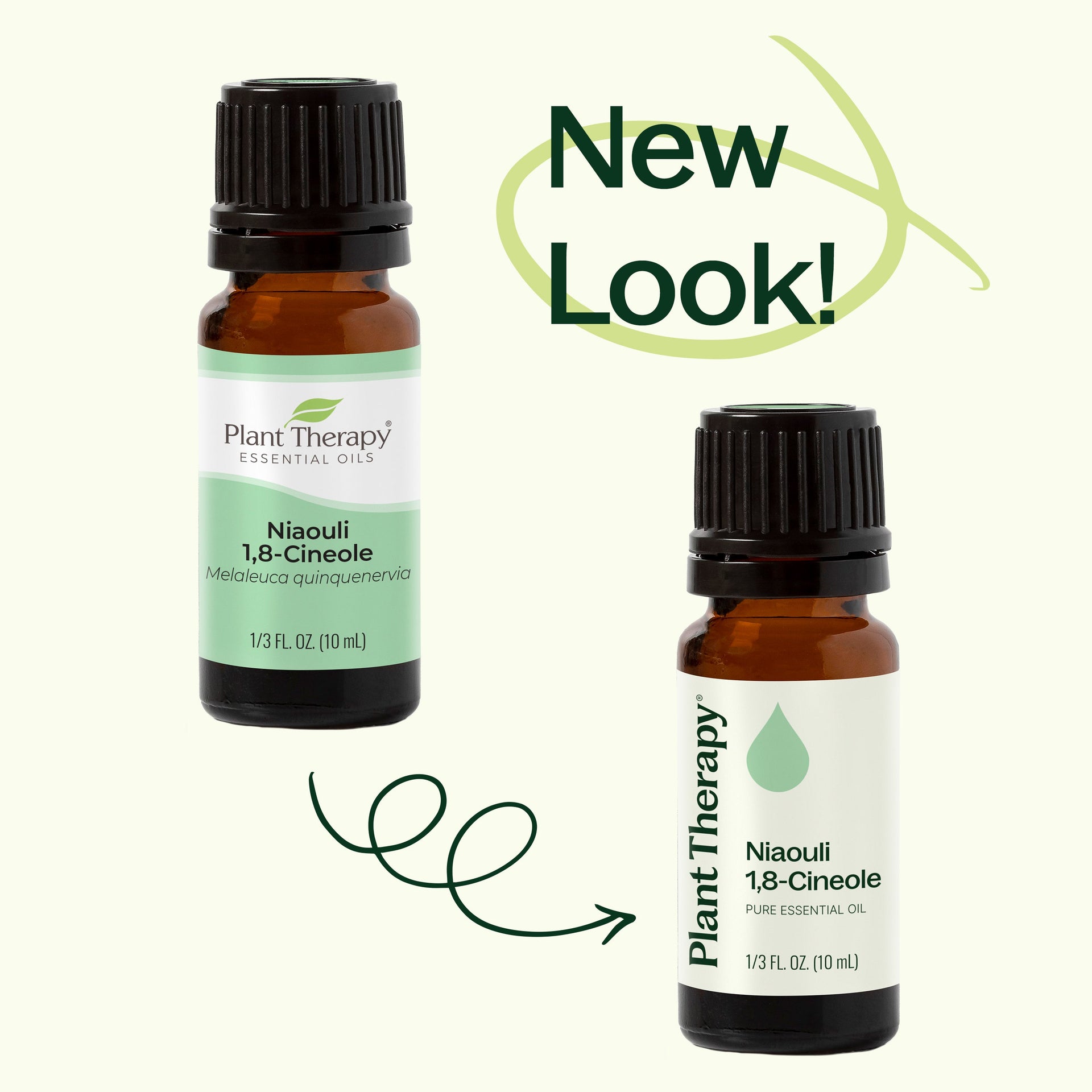 Niaouli 1,8-Cineole Essential Oil