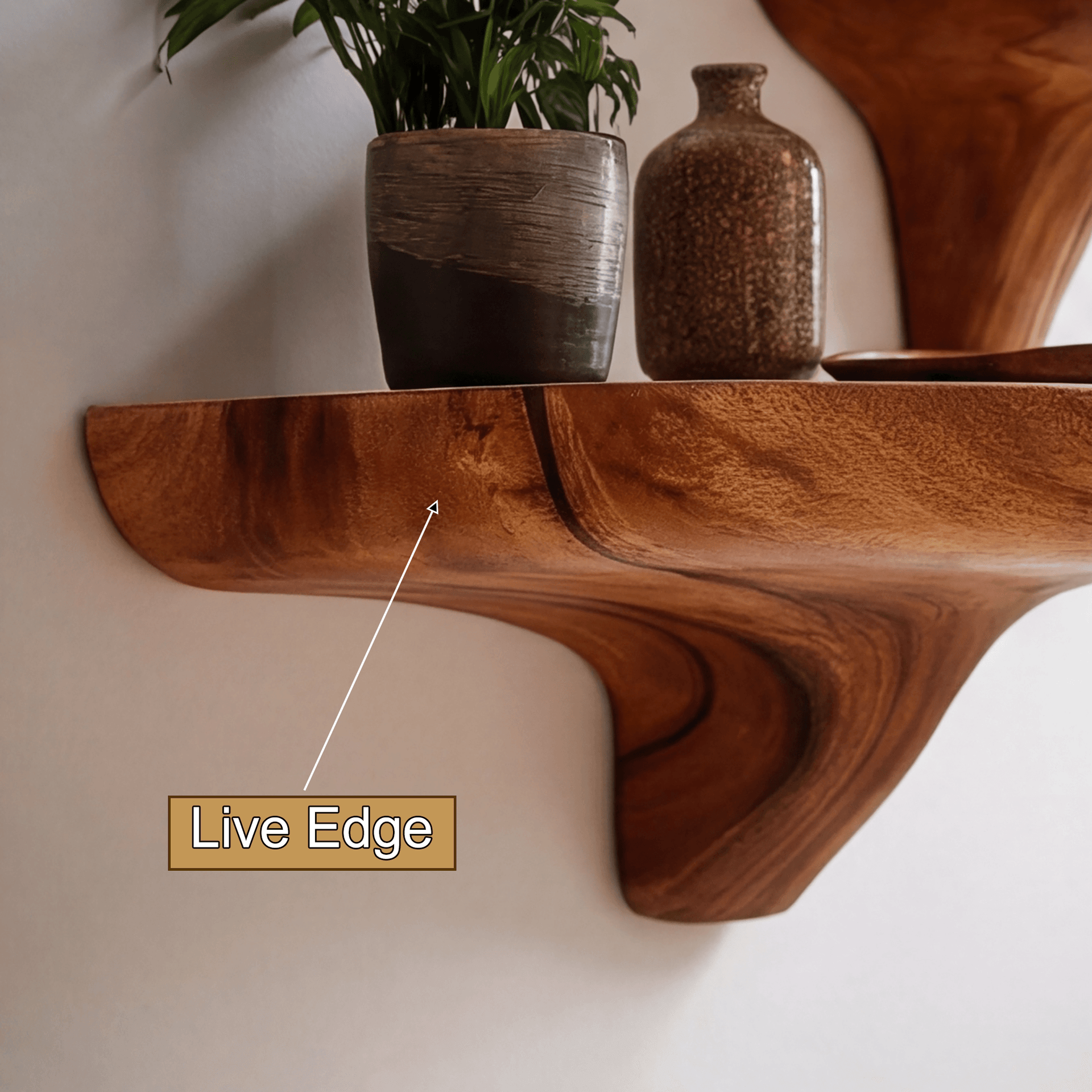 Norvyn Mushroom Solid Wood Floating Shelf SPA187695