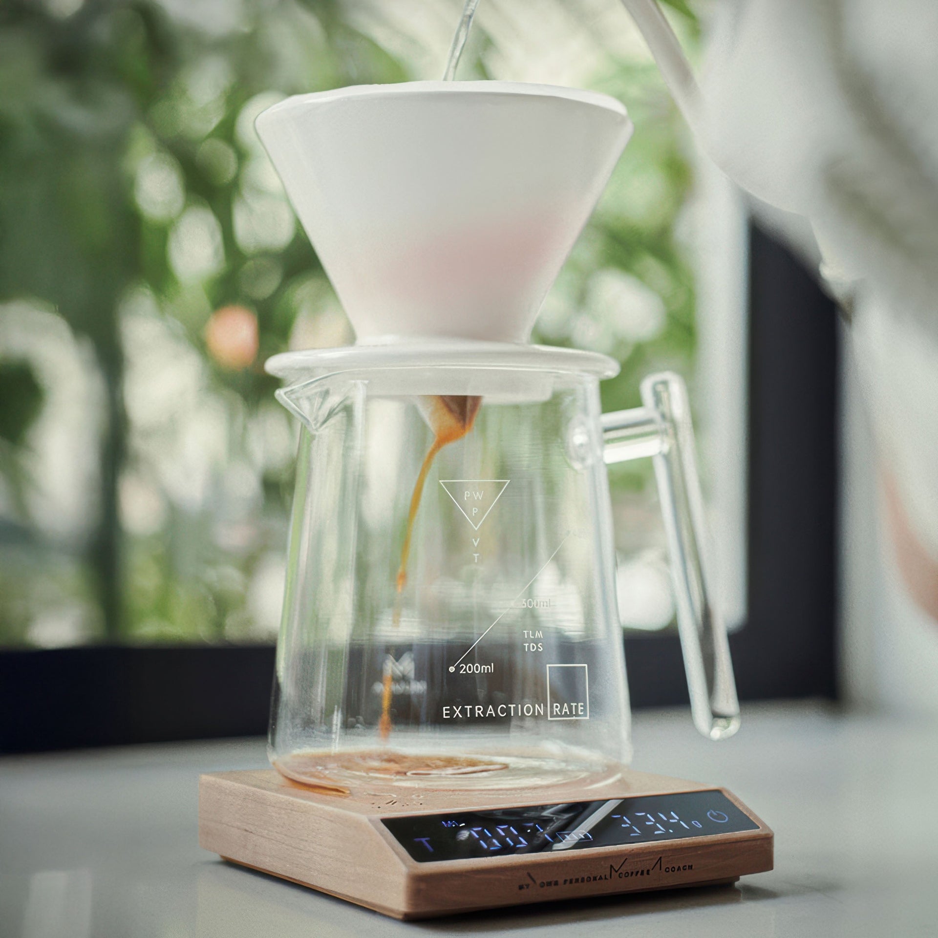 Precision Brew Walnut Digital Coffee Scale