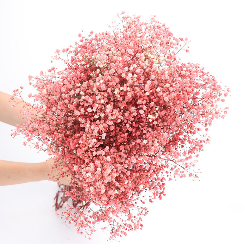 1 Bundle Dried Baby's Breath Gypsy Flowers for Wedding Floral Arrangement Home Party Decor