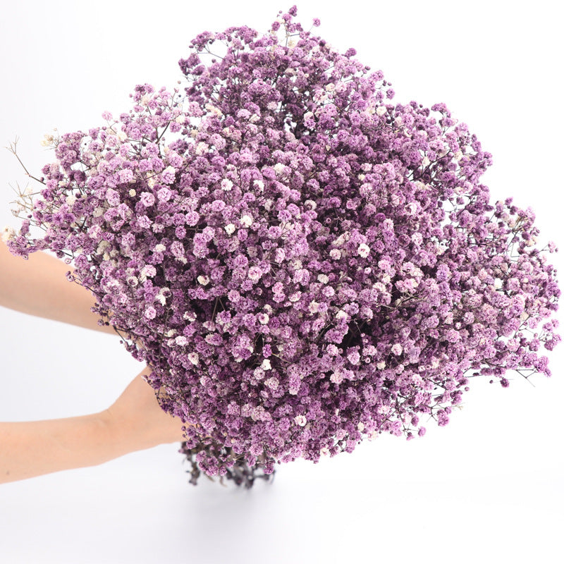 1 Bundle Dried Baby's Breath Gypsy Flowers for Wedding Floral Arrangement Home Party Decor