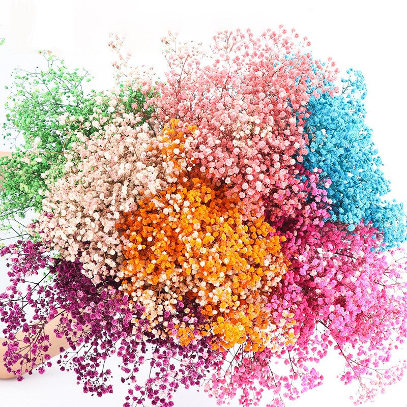 1 Bundle Dried Baby's Breath Gypsy Flowers for Wedding Floral Arrangement Home Party Decor