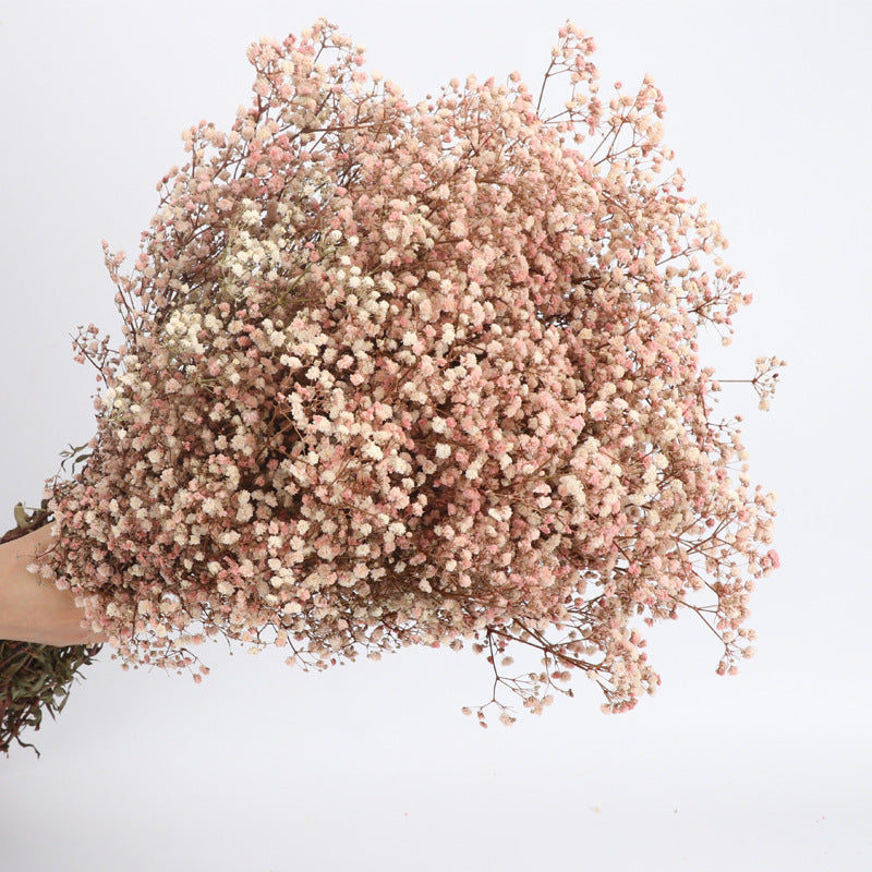 1 Bundle Dried Baby's Breath Gypsy Flowers for Wedding Floral Arrangement Home Party Decor