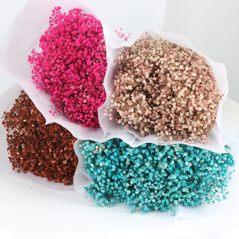 1 Bundle Dried Baby's Breath Gypsy Flowers for Wedding Floral Arrangement Home Party Decor