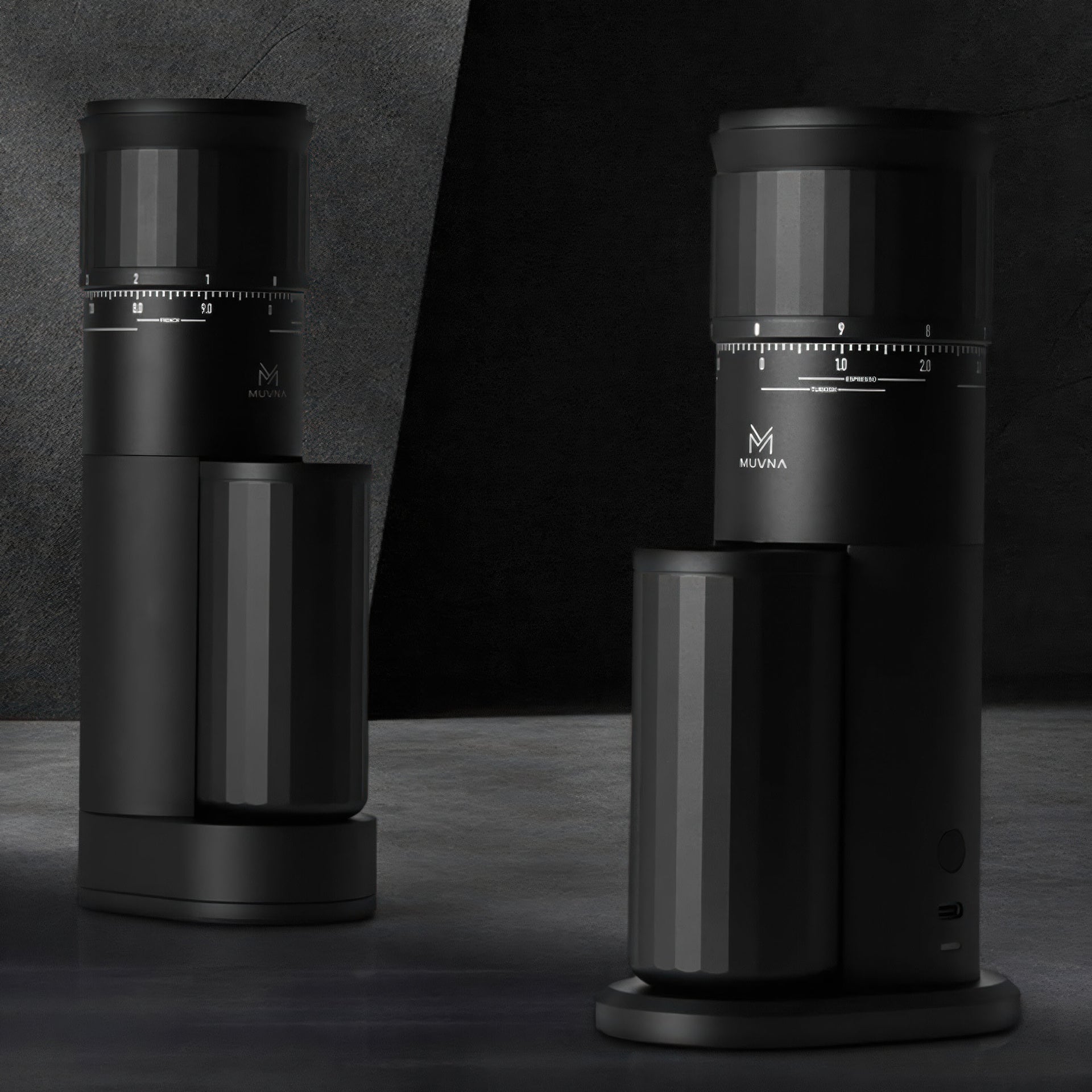 Precision Home Coffee Grinder