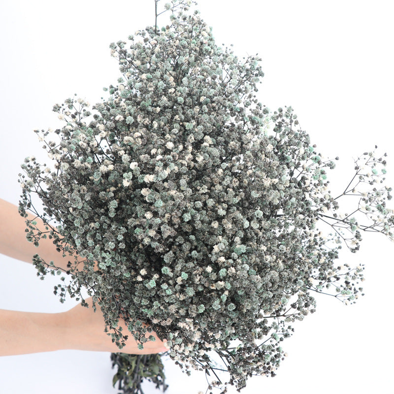 1 Bundle Dried Baby's Breath Gypsy Flowers for Wedding Floral Arrangement Home Party Decor