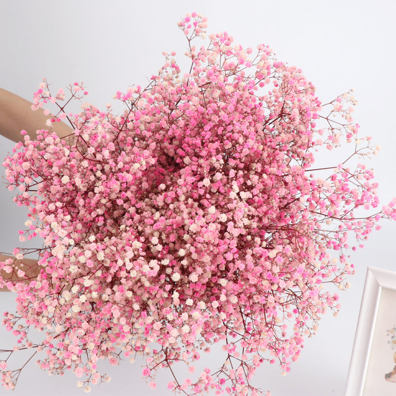 1 Bundle Dried Baby's Breath Gypsy Flowers for Wedding Floral Arrangement Home Party Decor
