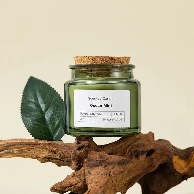 Handmade  2.5oz Scented Soy Wax Candle