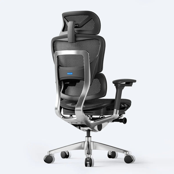 OdinLake O1 (Ergo PLUS 743) | Flex Mesh Ergonomic Chair