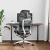OdinLake O1 (Ergo PLUS 743) | Flex Mesh Ergonomic Chair