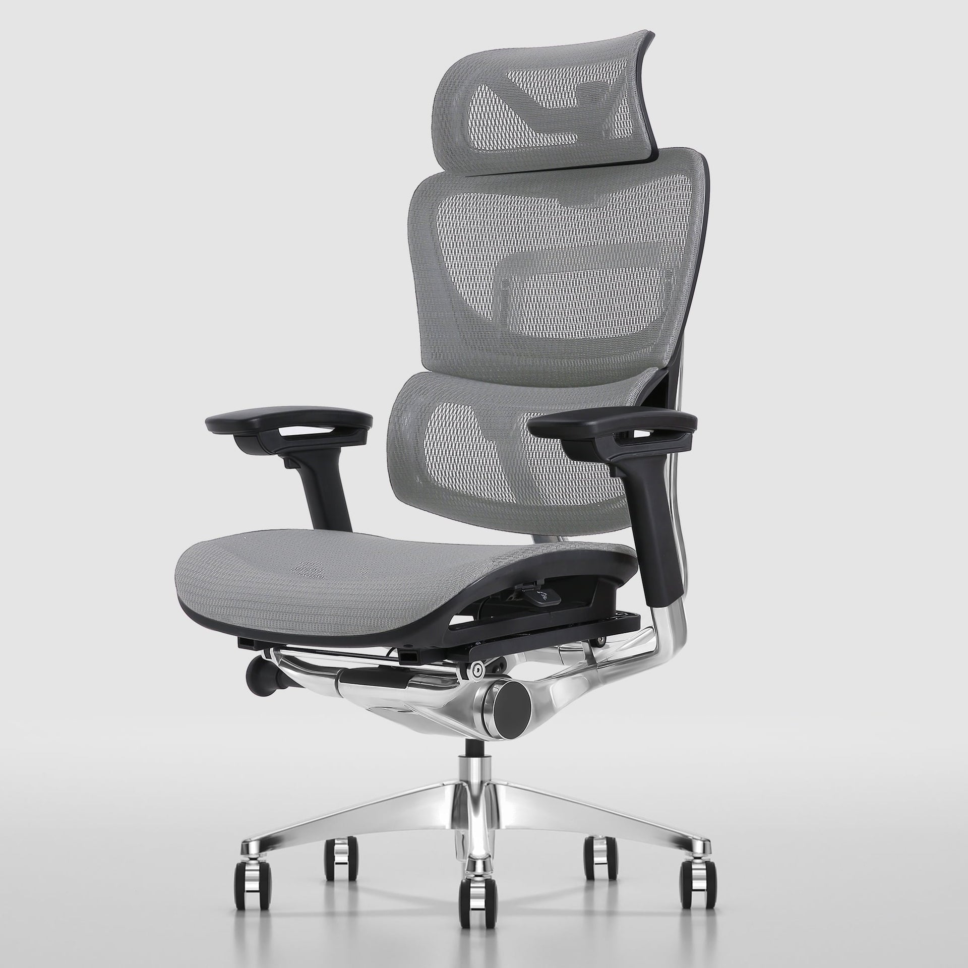 OdinLake O1 (Ergo PLUS 743) | Flex Mesh Ergonomic Chair