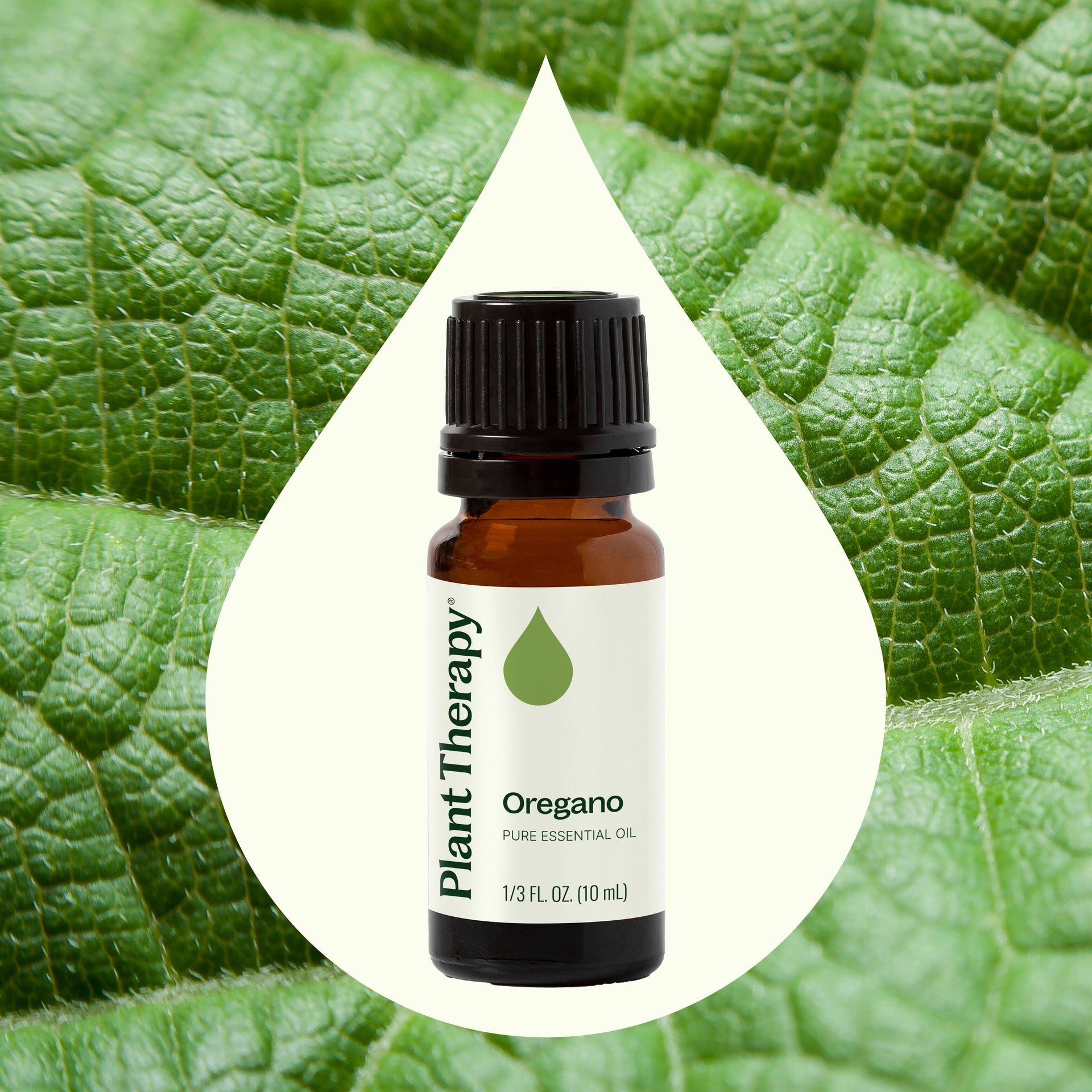 Oregano Essential Oil