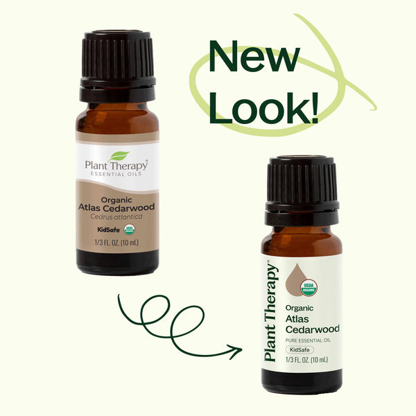 Organic Atlas Cedarwood Essential Oil