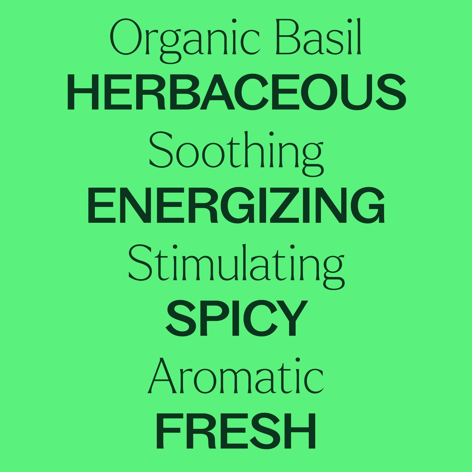 Organic Basil Linalool Essential Oil