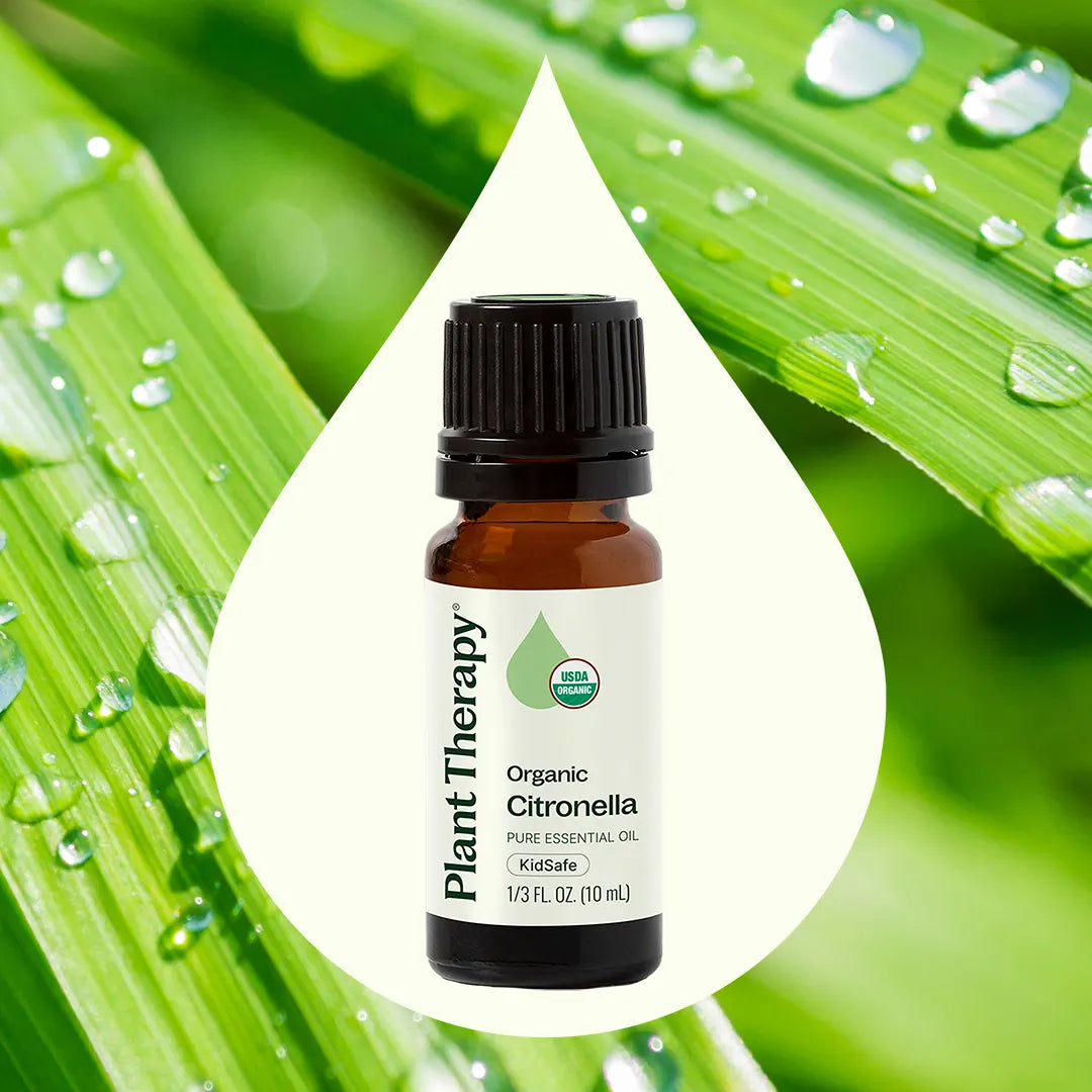 Organic Citronella Essential Oil