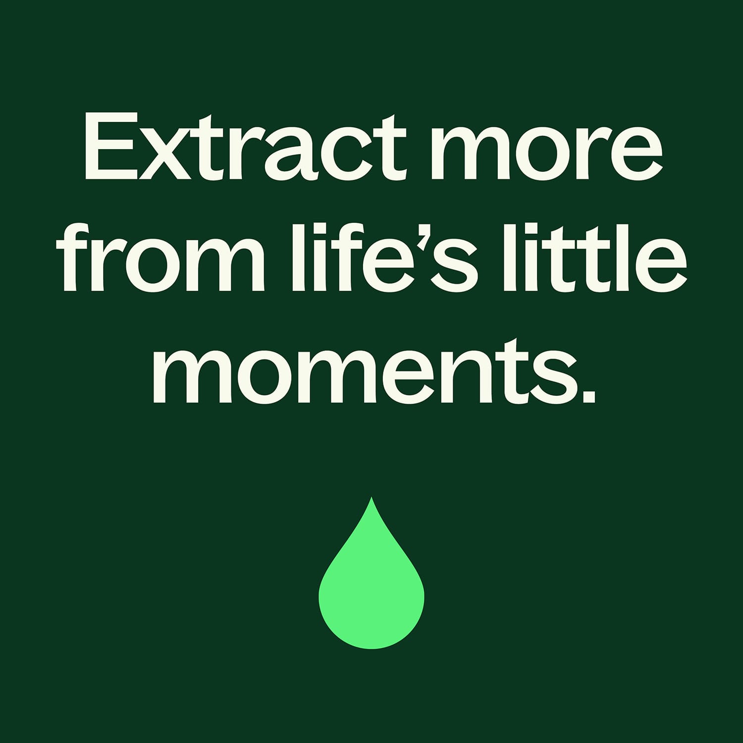 Organic Clove Bud Essential Oil