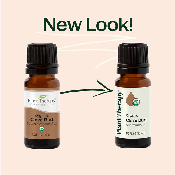 Organic Clove Bud Essential Oil