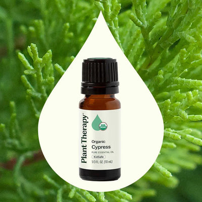 Organic Cypress Essential Oil