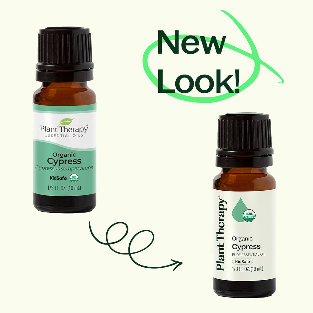 Organic Cypress Essential Oil
