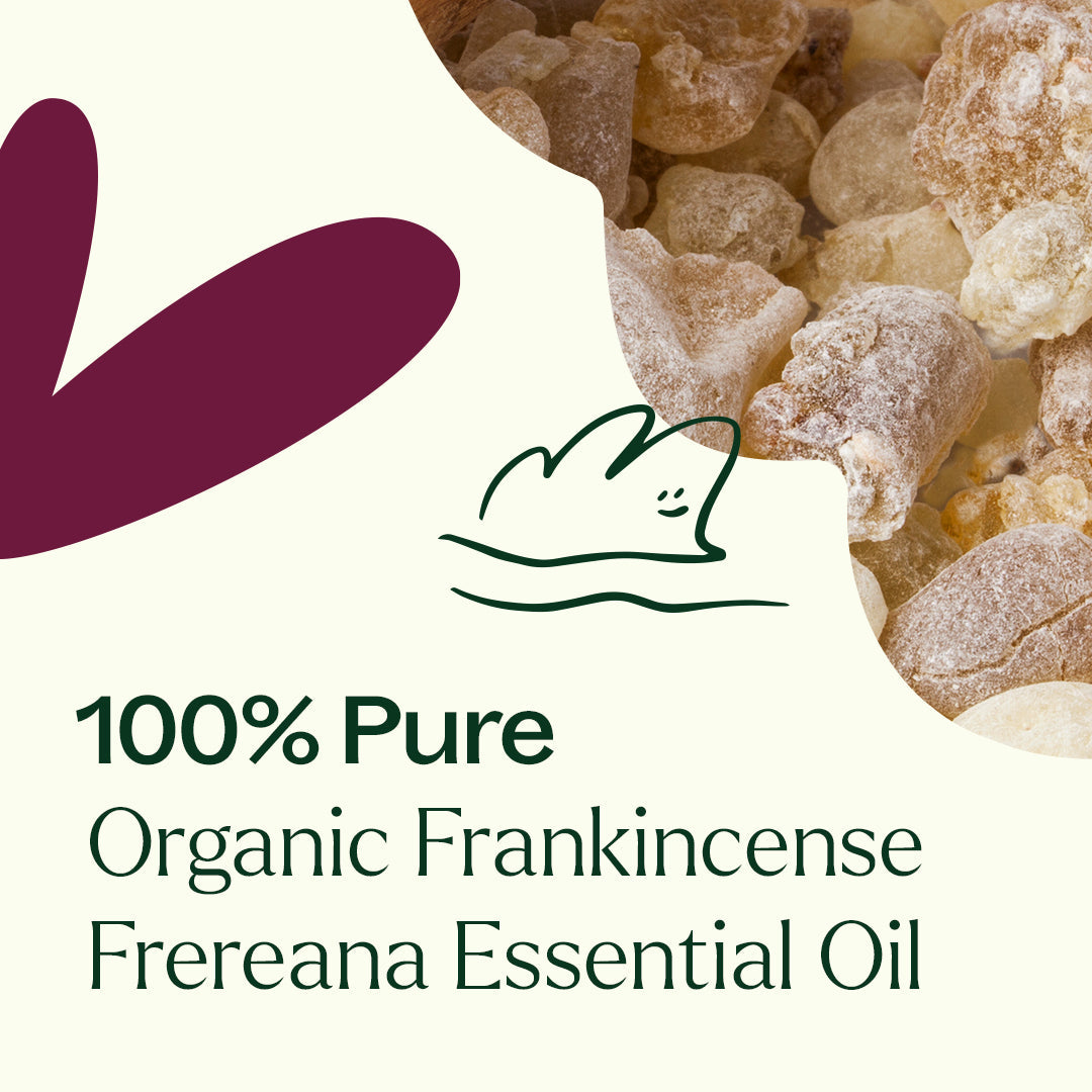 Organic Frankincense Frereana Essential Oil