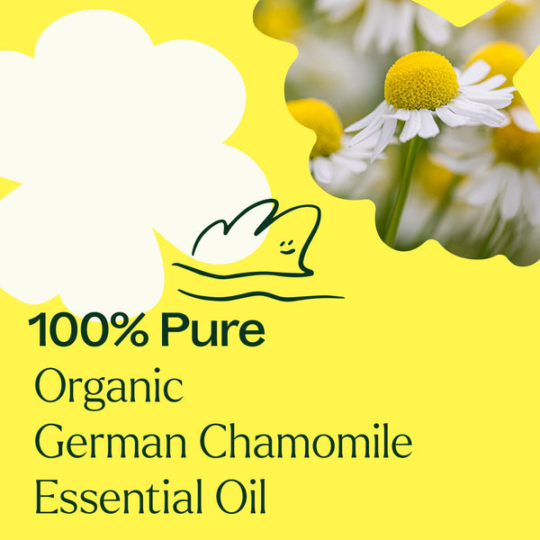 Organic German Chamomile Essential Oil