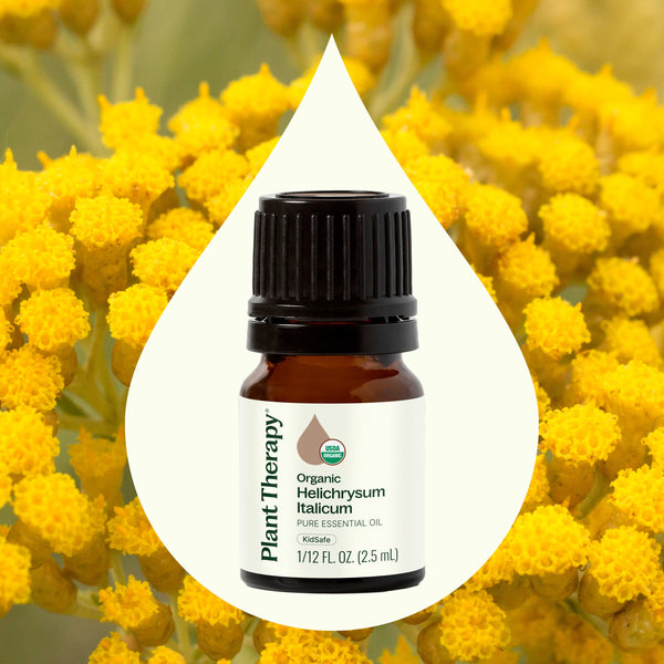Organic Helichrysum Italicum Essential Oil