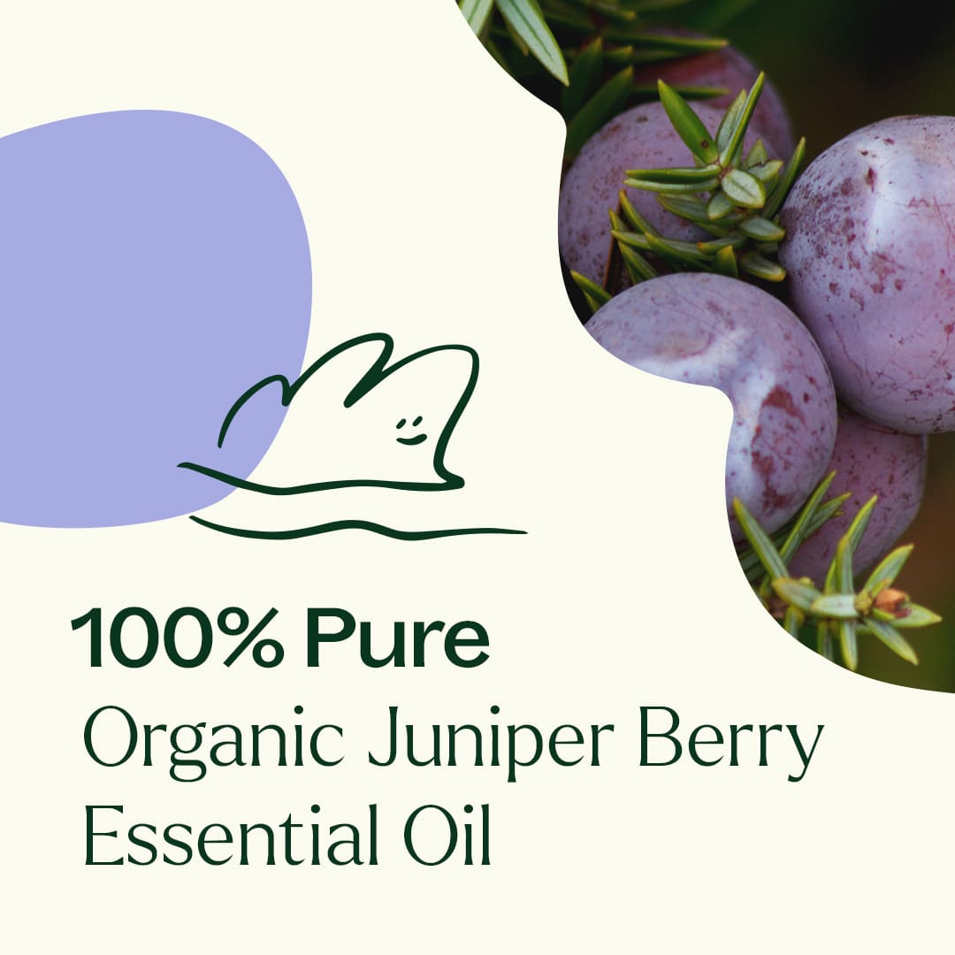 Organic Juniper Berry Essential Oil