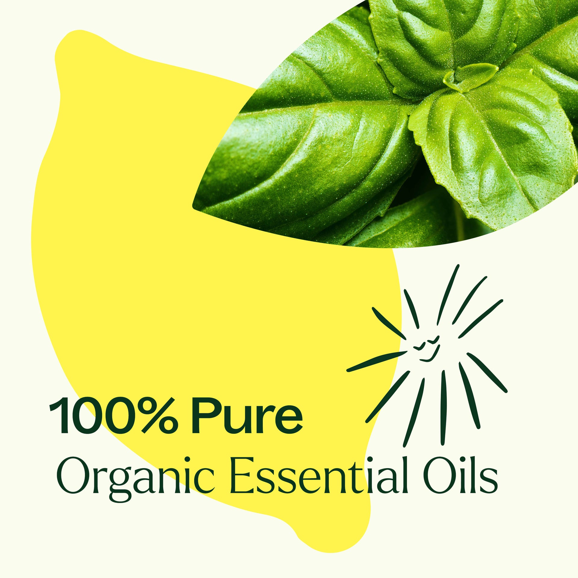 Organic Lemon Basil Essential Oil Blend