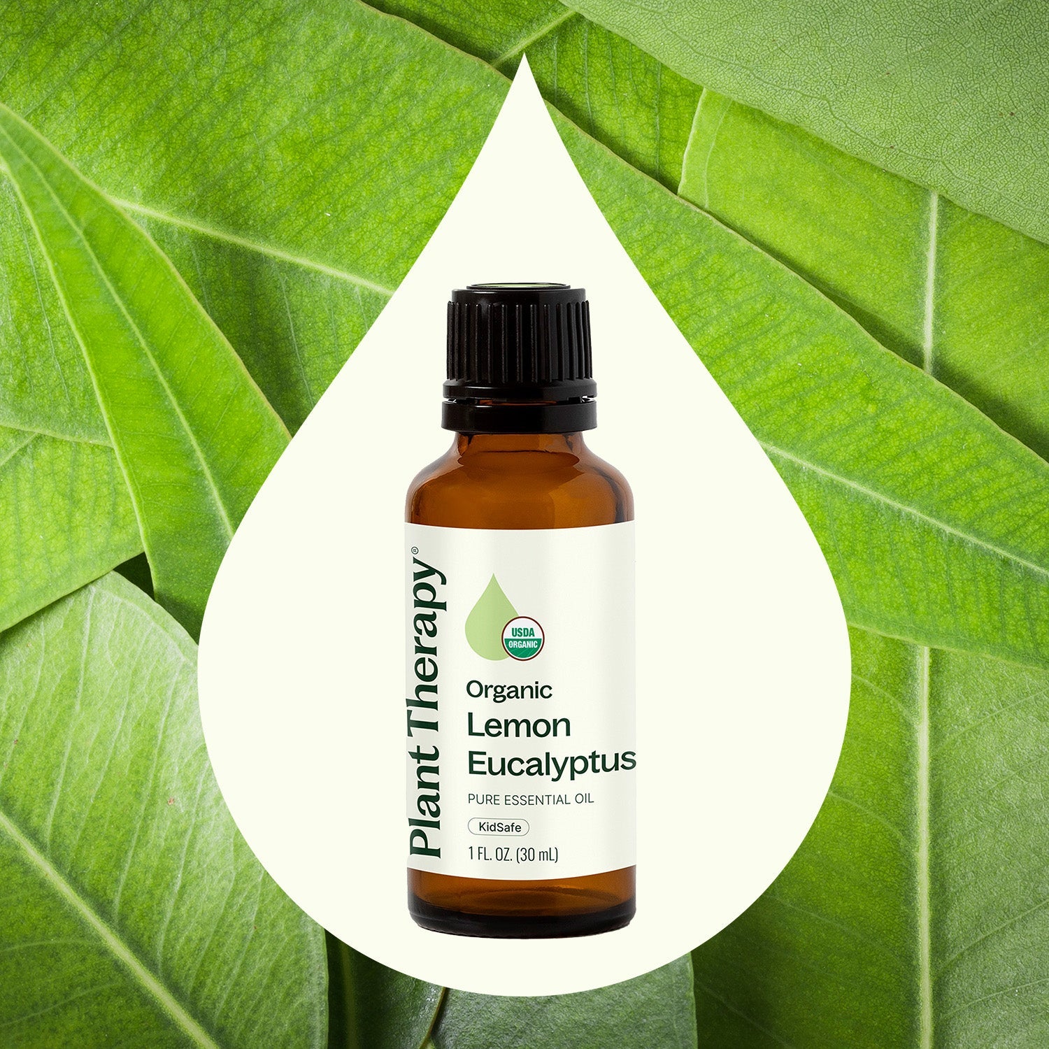 Organic Lemon Eucalyptus Essential Oil