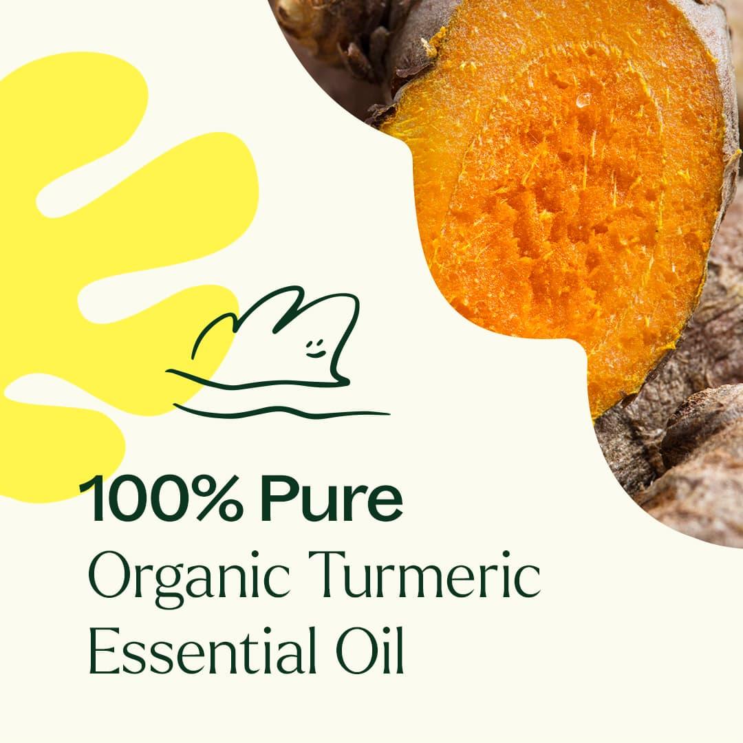 Organic Turmeric CO2 Extract