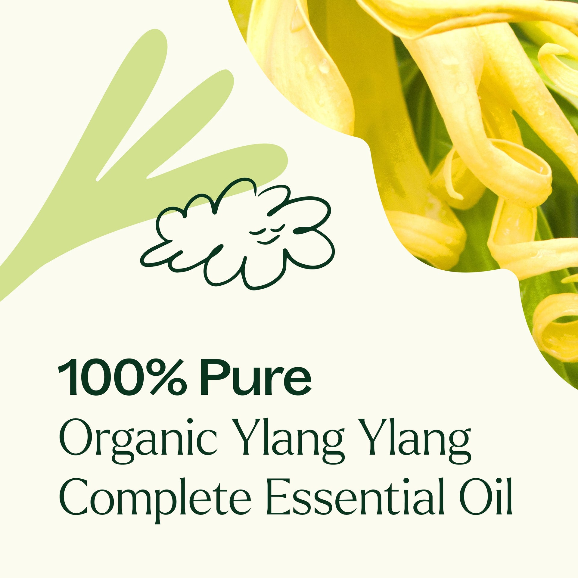 Organic Ylang Ylang Complete Essential Oil