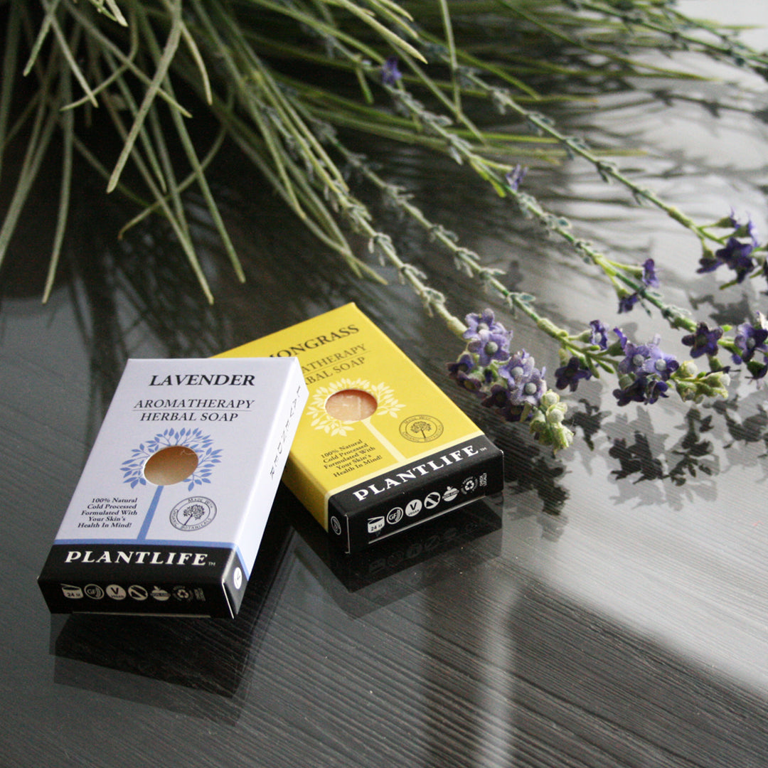 Soap Sampler Gift Set