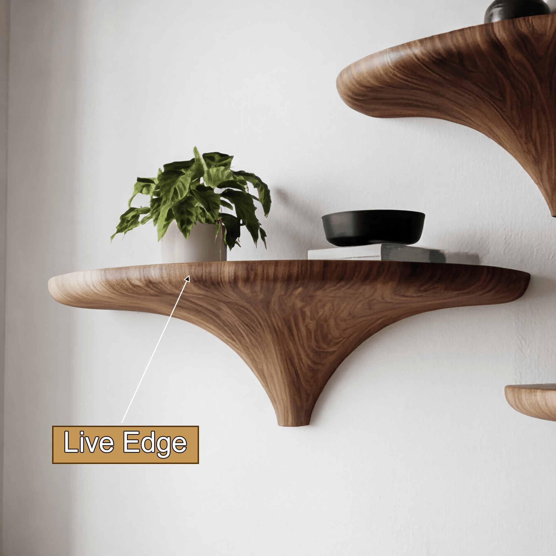 Orvian Sculpted Solid Wood Mushroom Floating Shelf SPA121876
