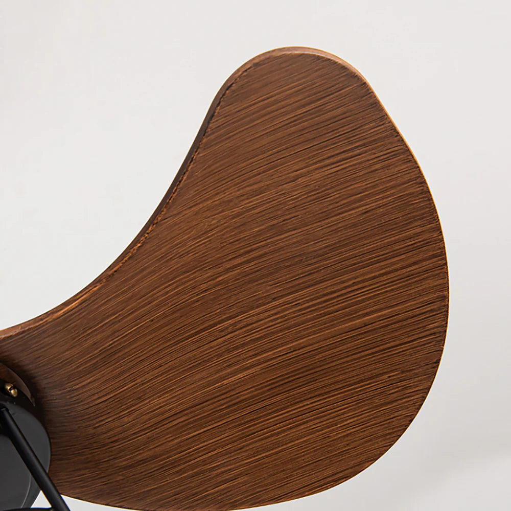 Oxton Simple Ceiling Fan Lamp