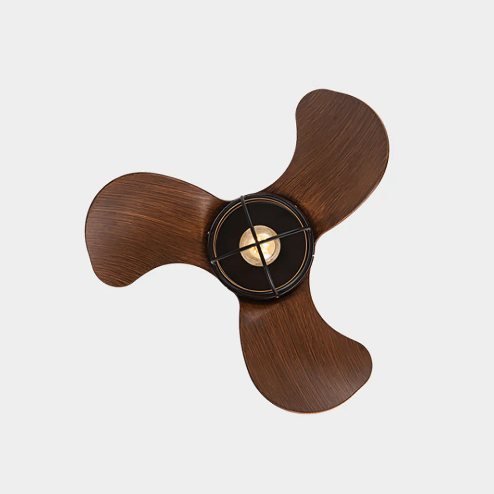 Oxton Simple Ceiling Fan Lamp