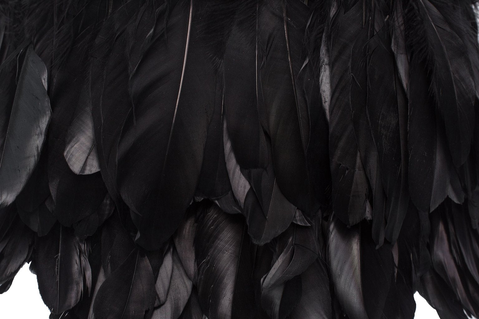 Zool Black Feather Lamp Shade (Spider)