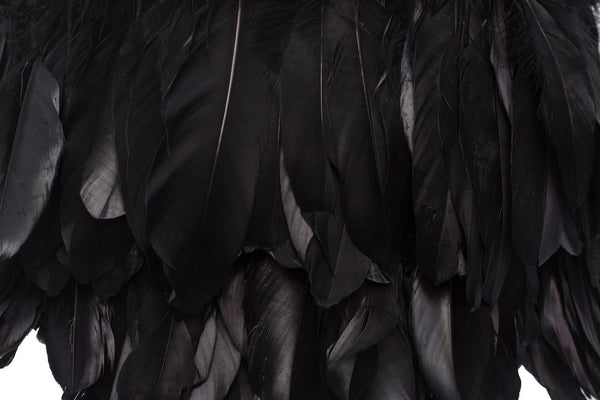 Zool Black Feather Lamp Shade (Spider)