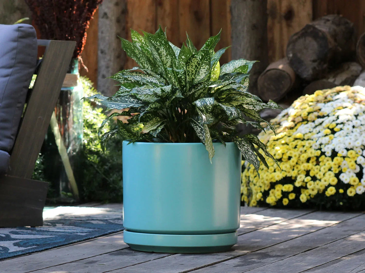 Mid Modern Planter With Detached Saucer By Plantatorem
