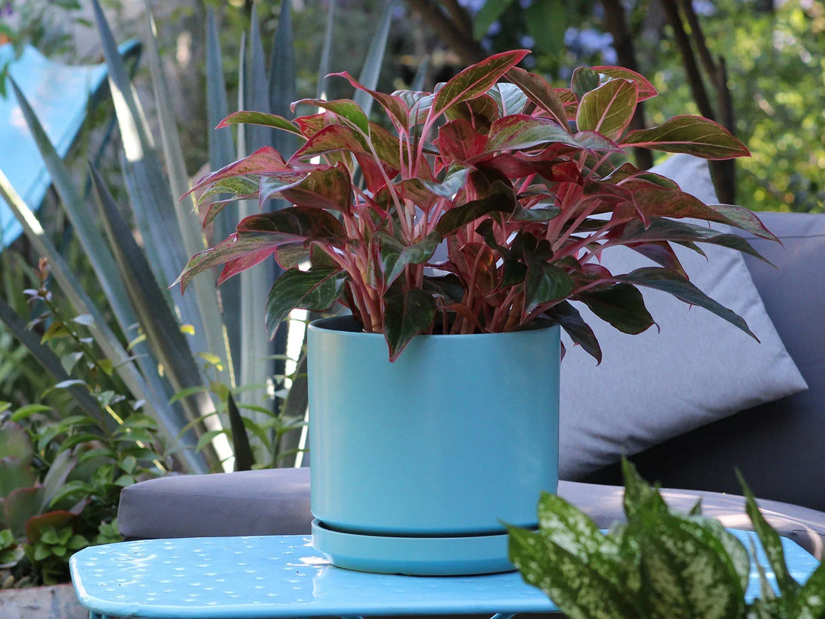 Mid Modern Planter With Detached Saucer By Plantatorem