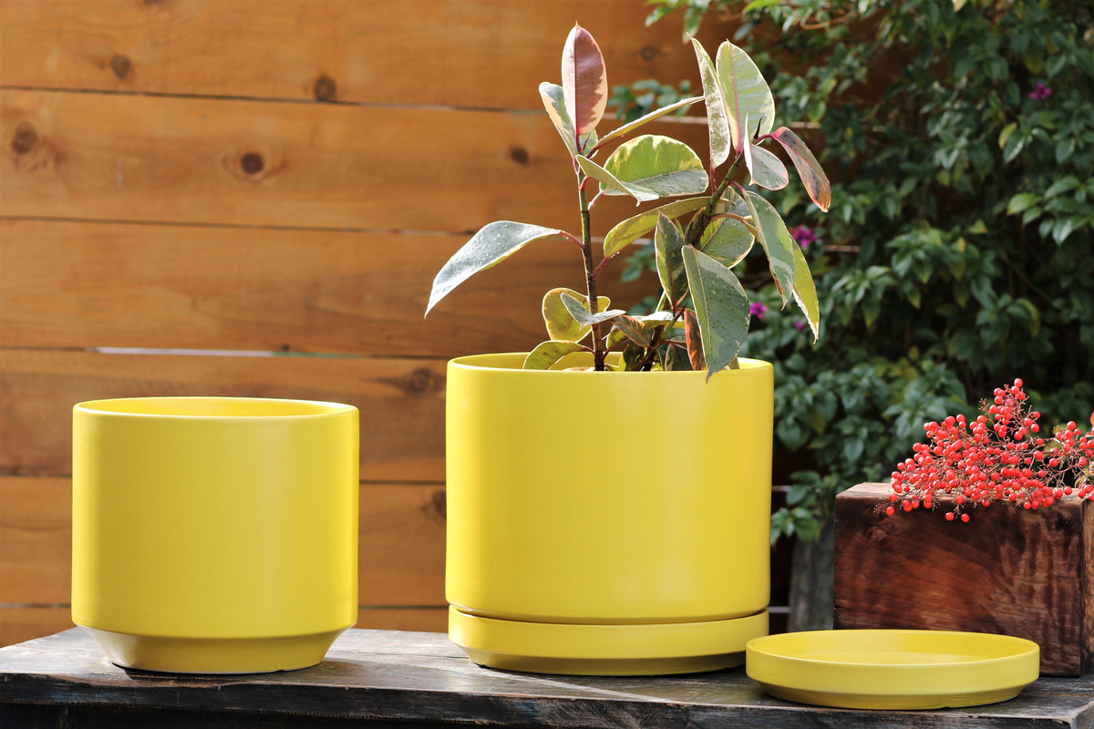 Mid Modern Planter With Detached Saucer By Plantatorem